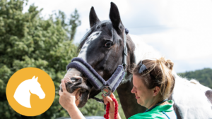 Equine Knowledge