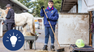 Grade 1 Proficiency Horse Care