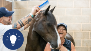 Grade 2 Proficiency Horse Care